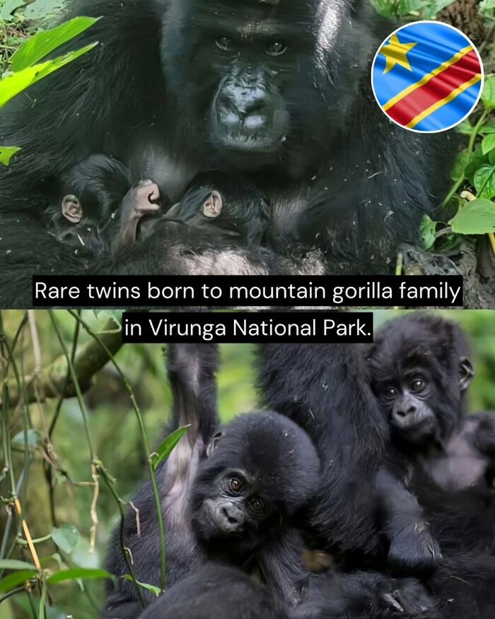 Let's Peek at 50 Good News Nuggets That Totally Brightened Our Day