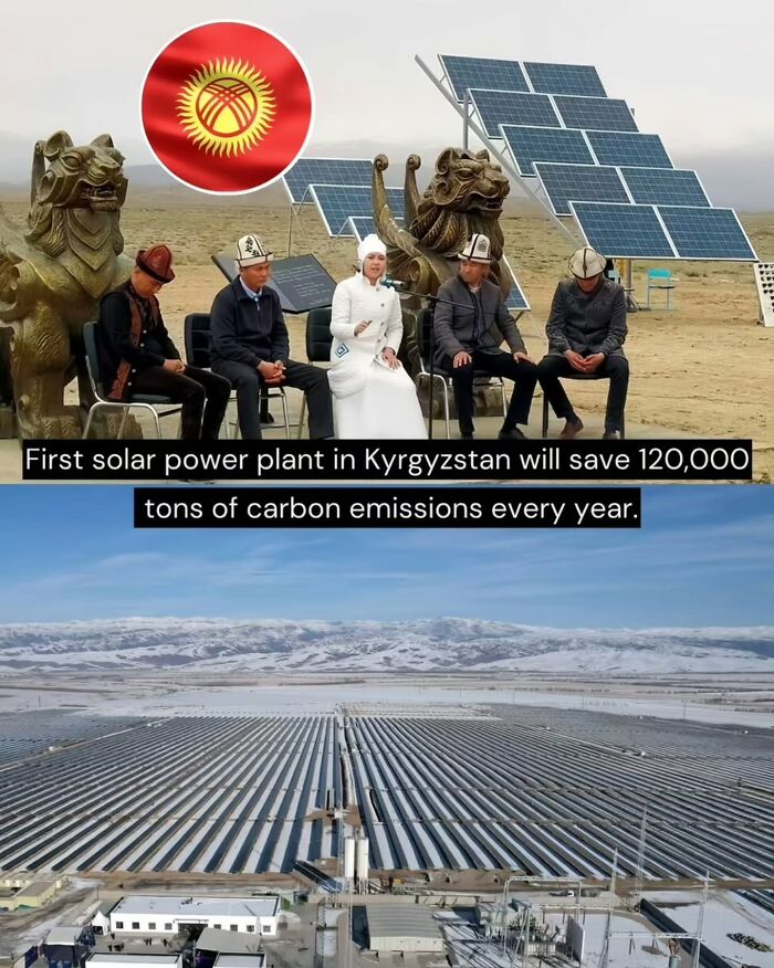 Let's Peek at 50 Good News Nuggets That Totally Brightened Our Day