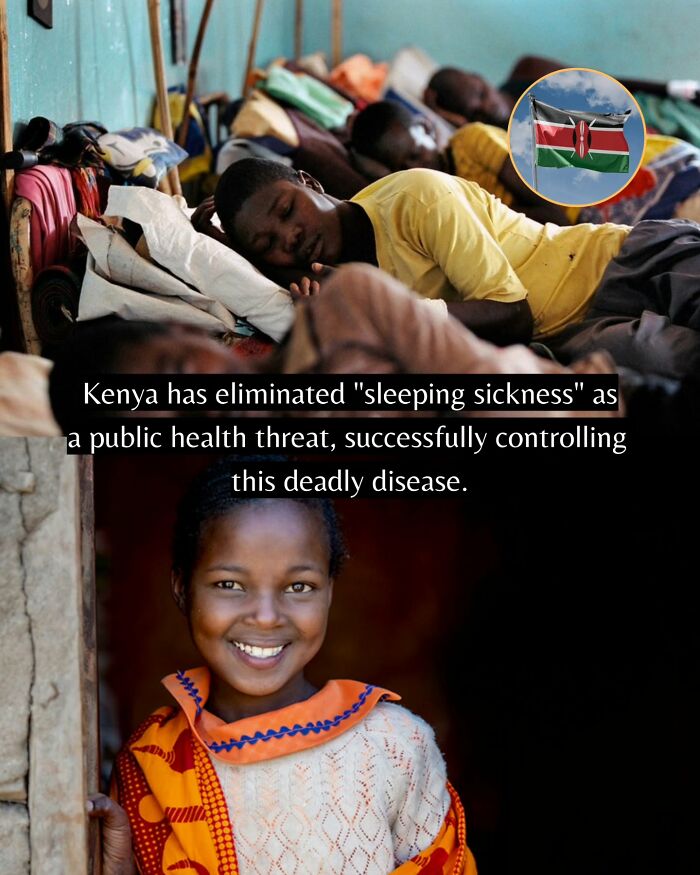 Let's Peek at 50 Good News Nuggets That Totally Brightened Our Day