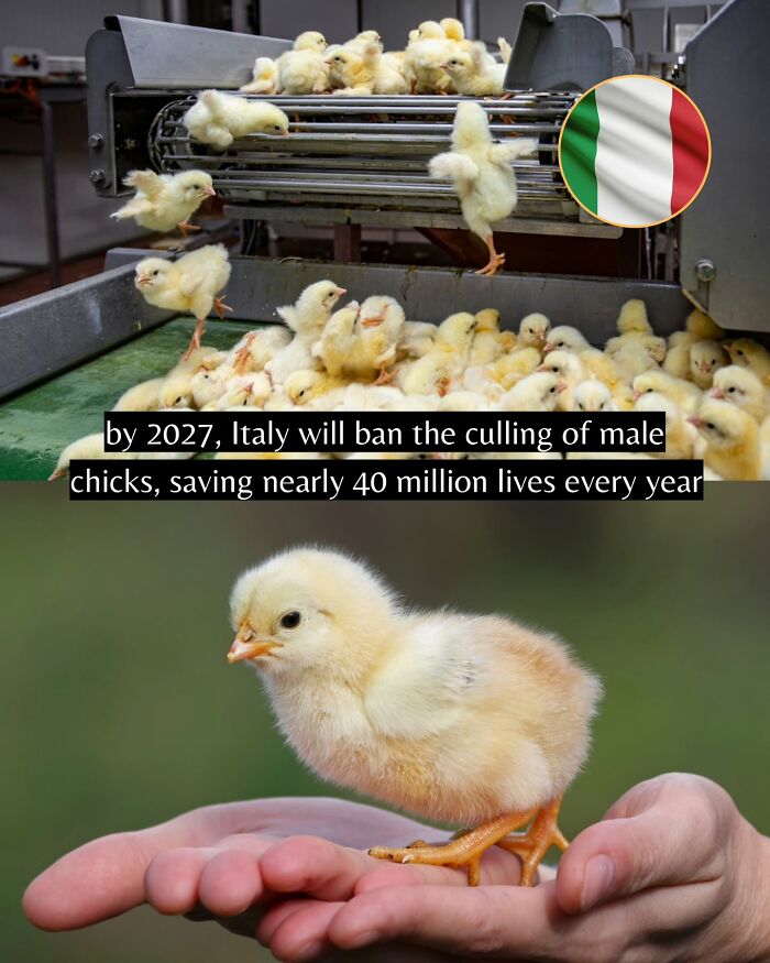 Let's Peek at 50 Good News Nuggets That Totally Brightened Our Day