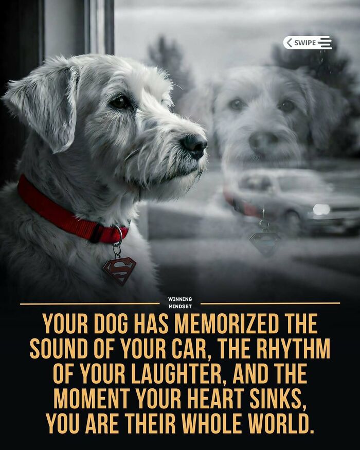 Let's Peek at 50 Good News Nuggets That Totally Brightened Our Day