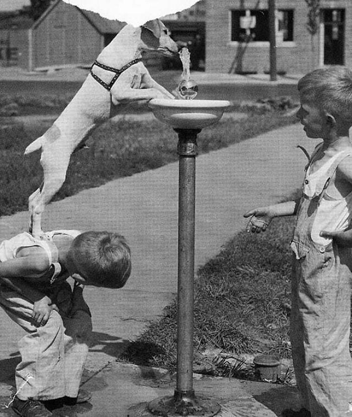 Wait, These Old Pics Are Actually This Cool?