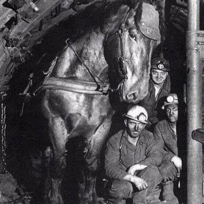 Wait, These Old Pics Are Actually This Cool?