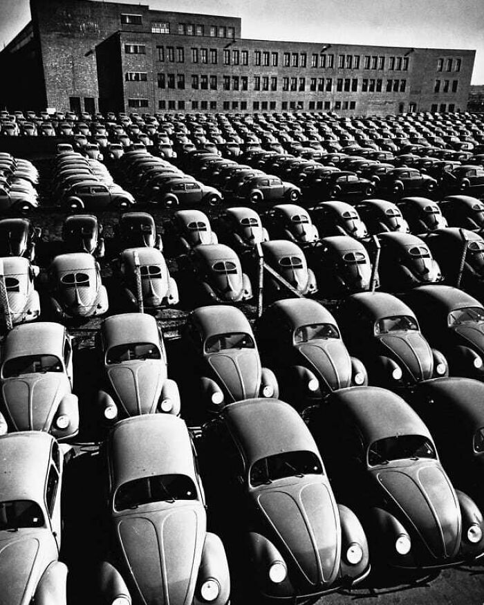 Wait, These Old Pics Are Actually This Cool?