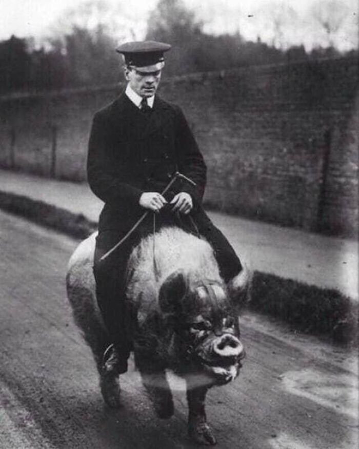 Wait, These Old Pics Are Actually This Cool?