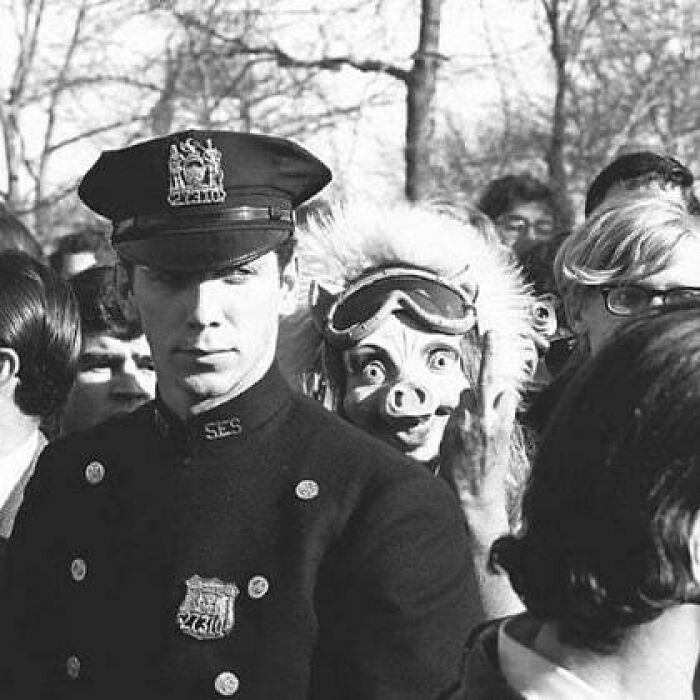 Wait, These Old Pics Are Actually This Cool?