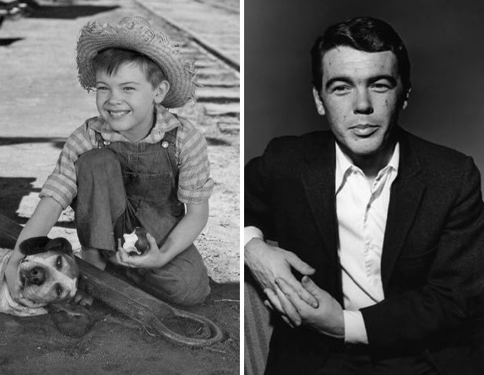 Bobby Driscoll: Disney’s Original Child Star and His Fall