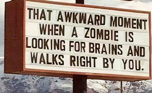 These 73 Silly Signs Will Totally Make You Stop and Laugh