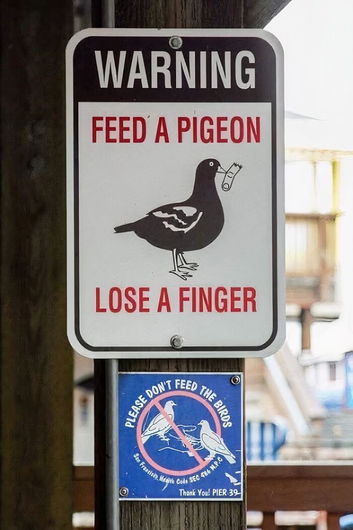 These 73 Silly Signs Will Totally Make You Stop and Laugh