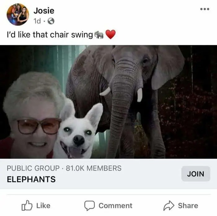 Wait, Old People On The Internet Are This Funny?