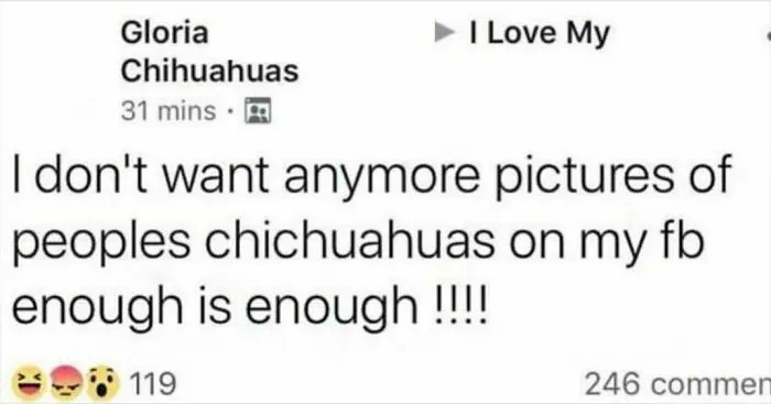 Wait, Old People On The Internet Are This Funny?
