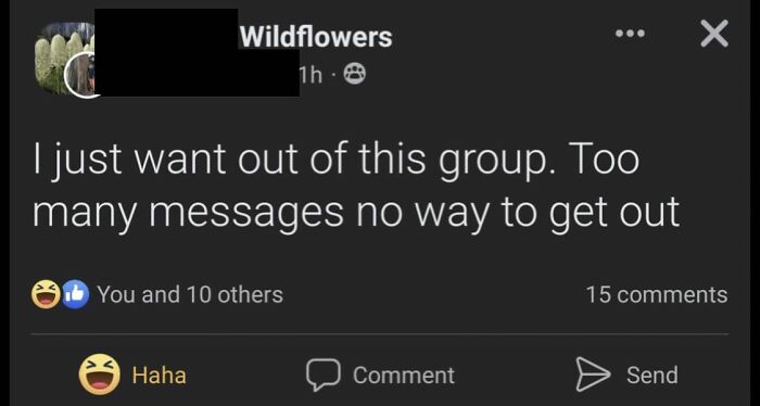 Wait, Old People On The Internet Are This Funny?