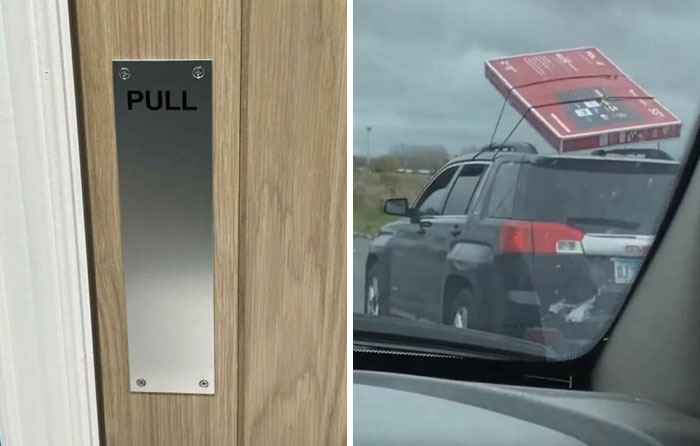 America’s Wild Ride Into the Land of ‘Wait, What?!’