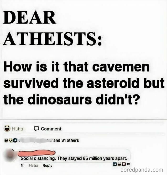 America’s Wild Ride Into the Land of ‘Wait, What?!’