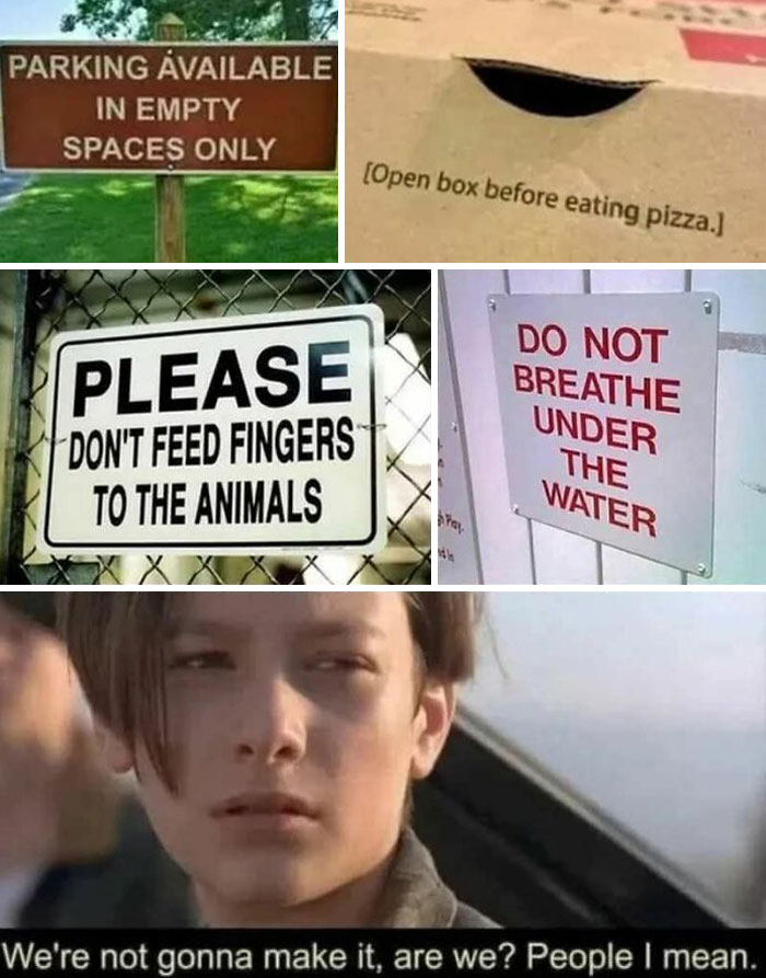 America’s Wild Ride Into the Land of ‘Wait, What?!’