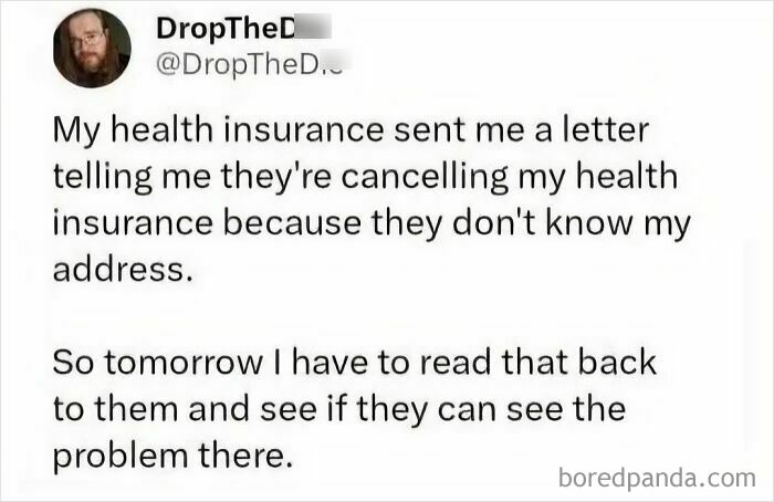 America’s Wild Ride Into the Land of ‘Wait, What?!’