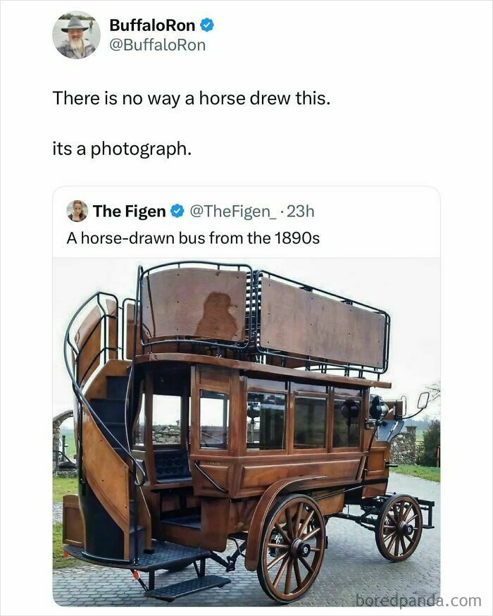 America’s Wild Ride Into the Land of ‘Wait, What?!’