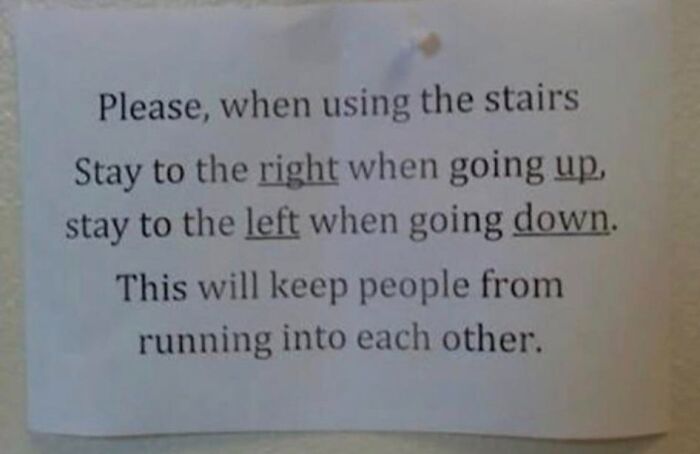 America’s Wild Ride Into the Land of ‘Wait, What?!’