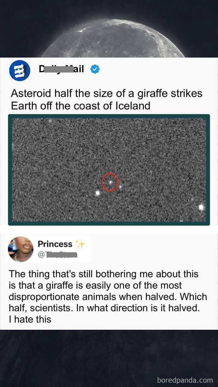 America’s Wild Ride Into the Land of ‘Wait, What?!’