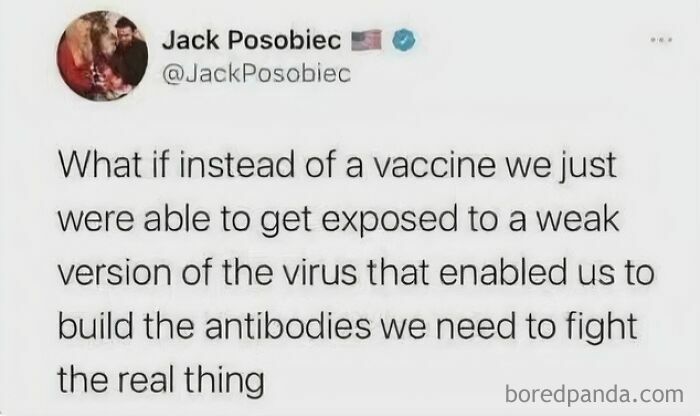 America’s Wild Ride Into the Land of ‘Wait, What?!’