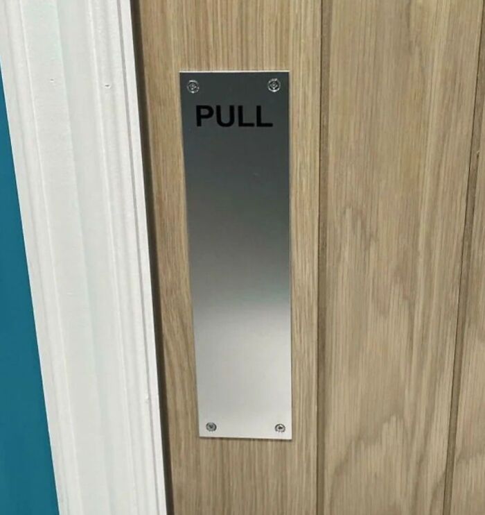 America’s Wild Ride Into the Land of ‘Wait, What?!’