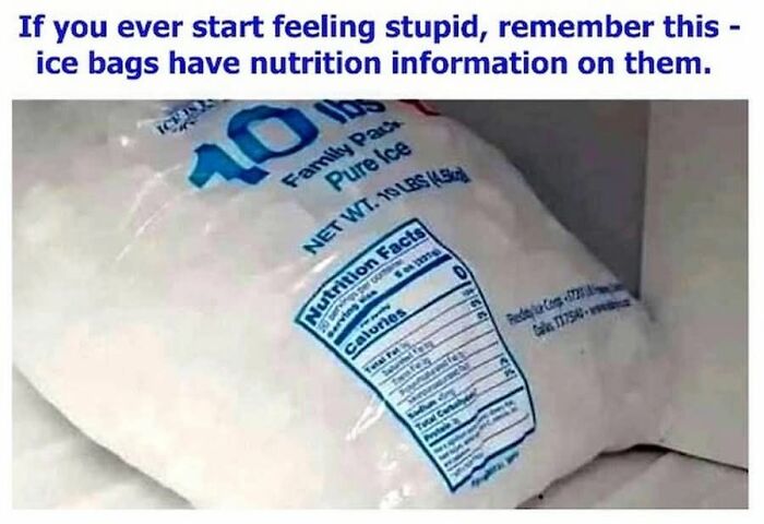 America’s Wild Ride Into the Land of ‘Wait, What?!’