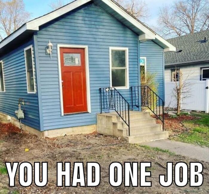 America’s Wild Ride Into the Land of ‘Wait, What?!’