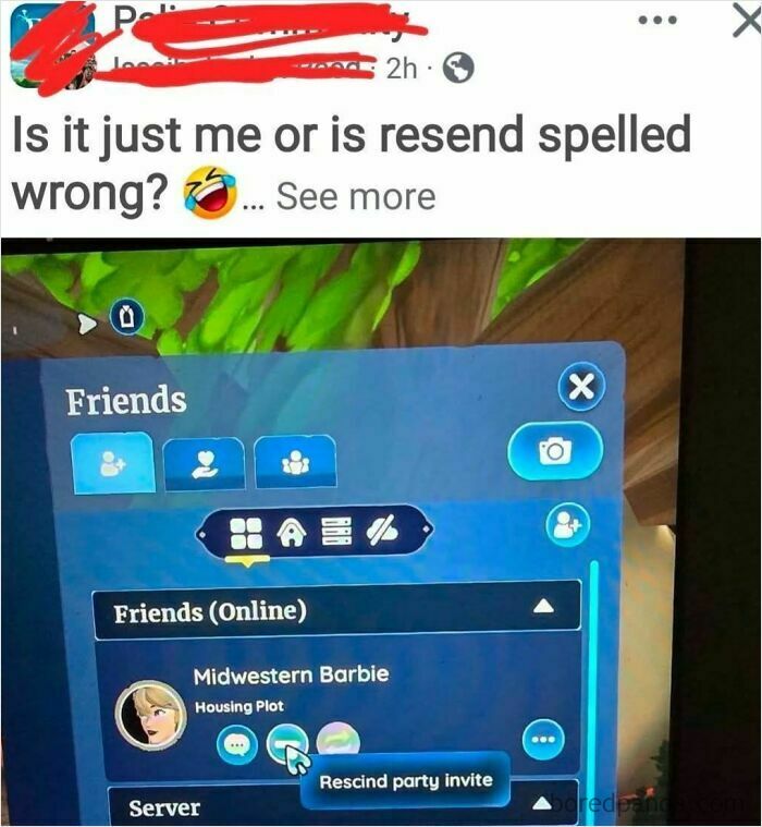 America’s Wild Ride Into the Land of ‘Wait, What?!’