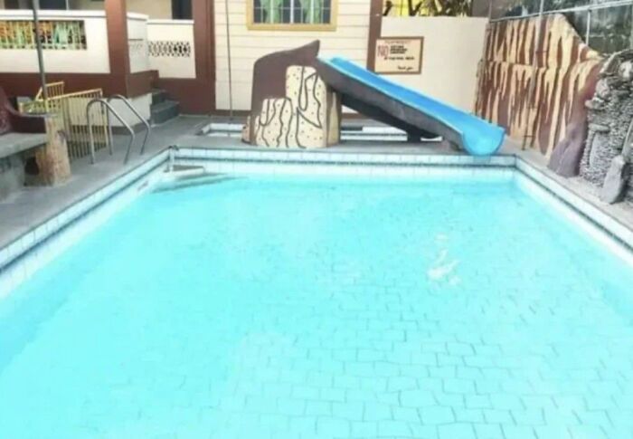 America’s Wild Ride Into the Land of ‘Wait, What?!’