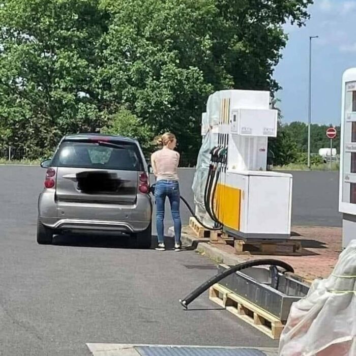 America’s Wild Ride Into the Land of ‘Wait, What?!’