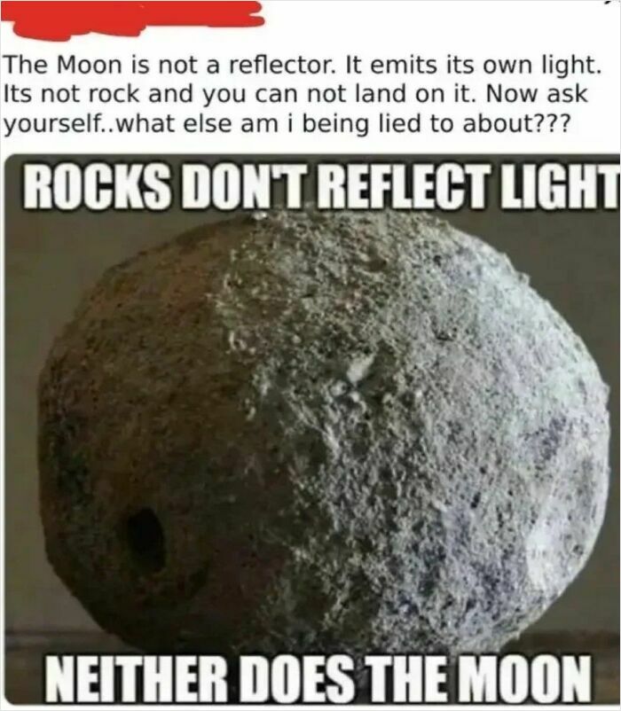 America’s Wild Ride Into the Land of ‘Wait, What?!’