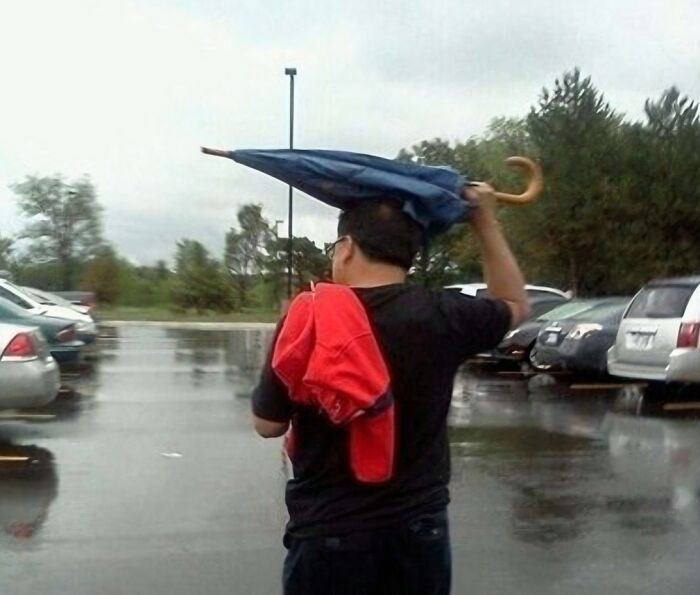 America’s Wild Ride Into the Land of ‘Wait, What?!’