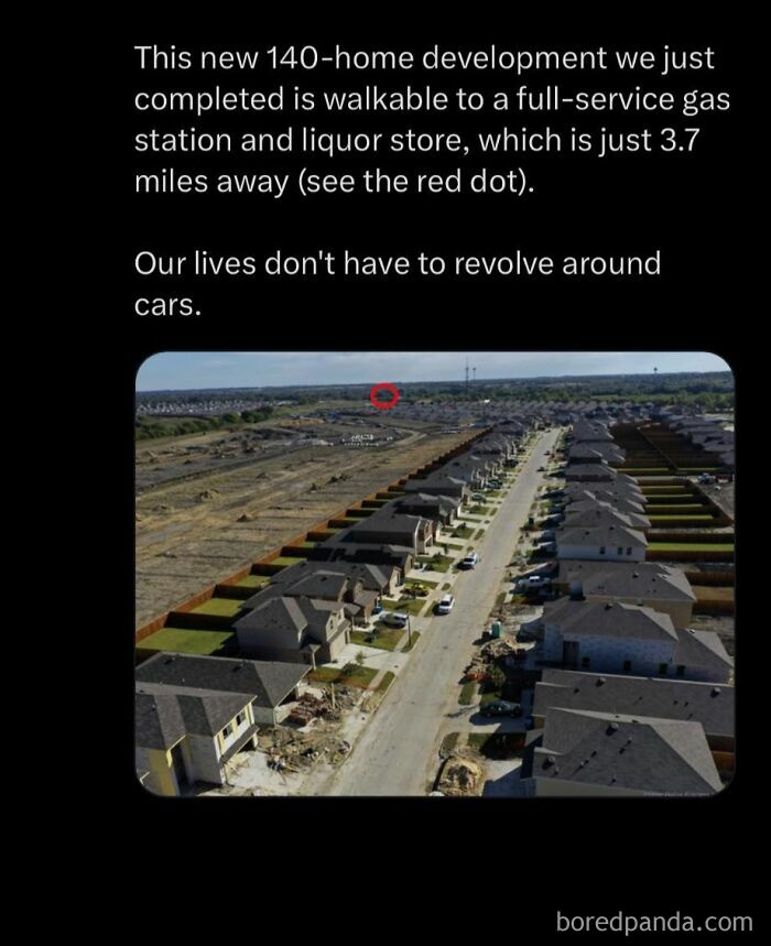 America’s Wild Ride Into the Land of ‘Wait, What?!’