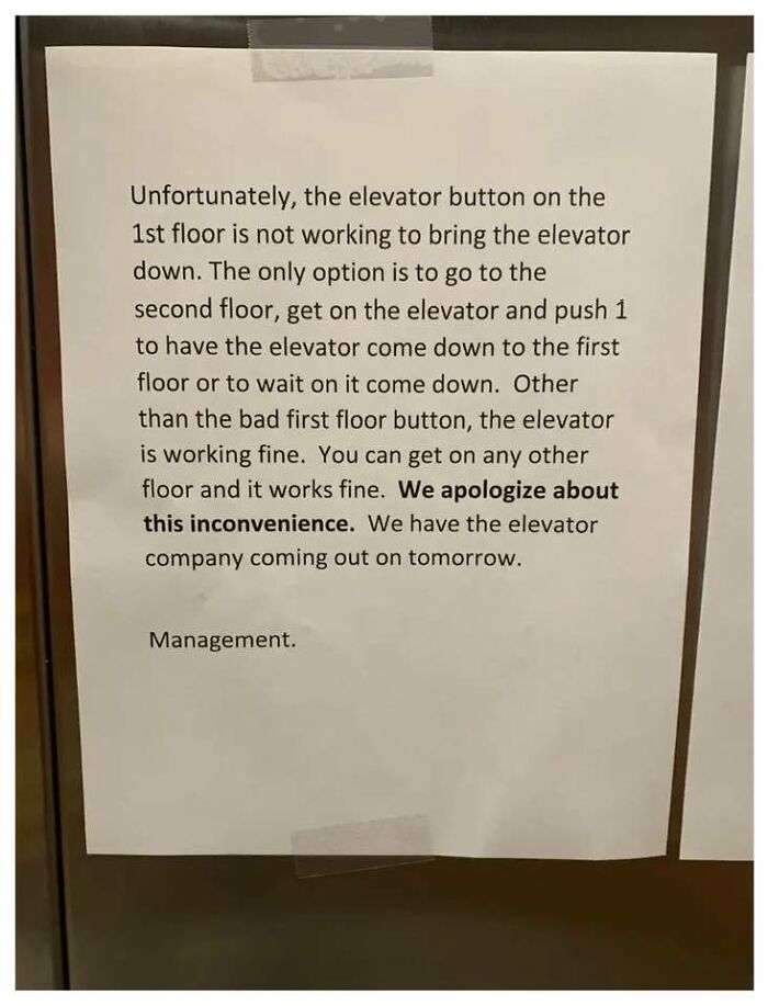 America’s Wild Ride Into the Land of ‘Wait, What?!’