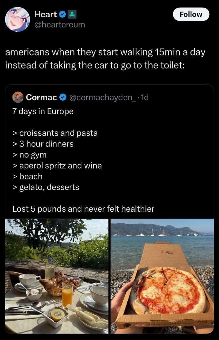 America’s Wild Ride Into the Land of ‘Wait, What?!’