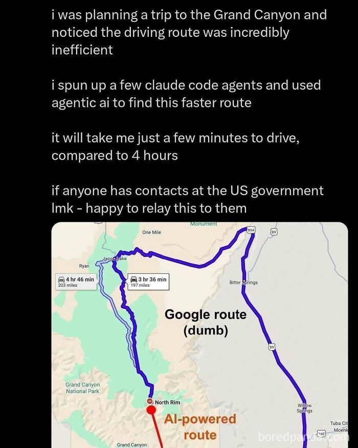 America’s Wild Ride Into the Land of ‘Wait, What?!’