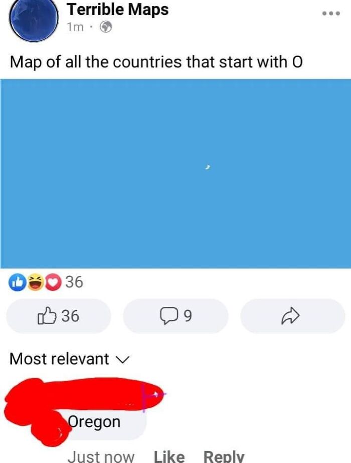 America’s Wild Ride Into the Land of ‘Wait, What?!’