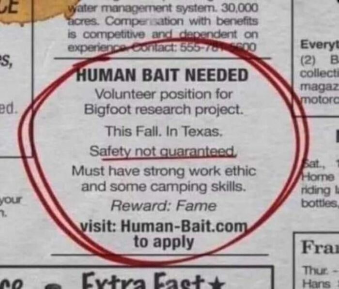 America’s Wild Ride Into the Land of ‘Wait, What?!’