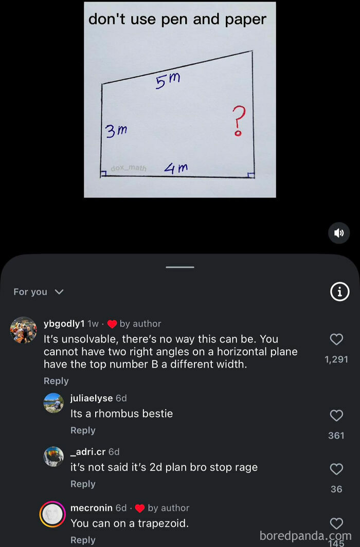 America’s Wild Ride Into the Land of ‘Wait, What?!’