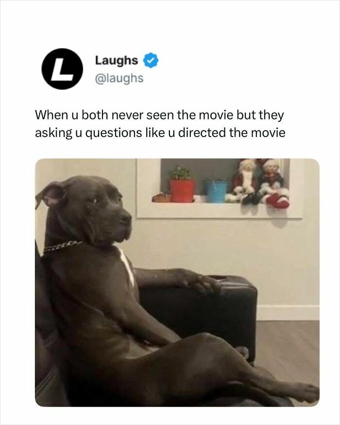 Let’s Dive Into These Hilarious Memes That’ll Totally Make Your Day