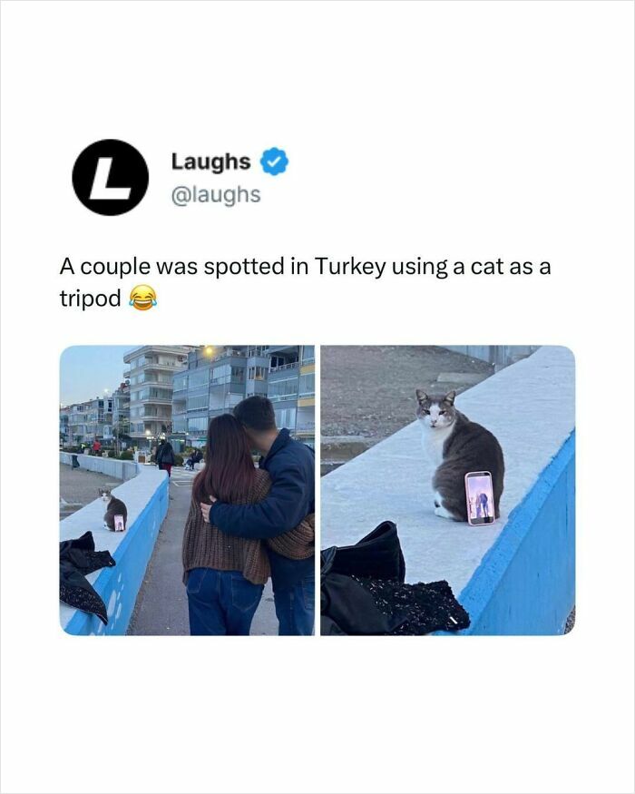 Let’s Dive Into These Hilarious Memes That’ll Totally Make Your Day