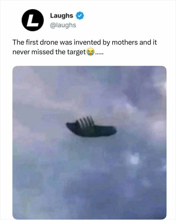 Let’s Dive Into These Hilarious Memes That’ll Totally Make Your Day