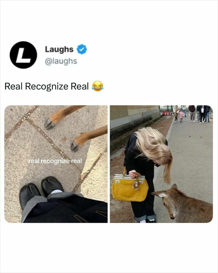 Let’s Dive Into These Hilarious Memes That’ll Totally Make Your Day