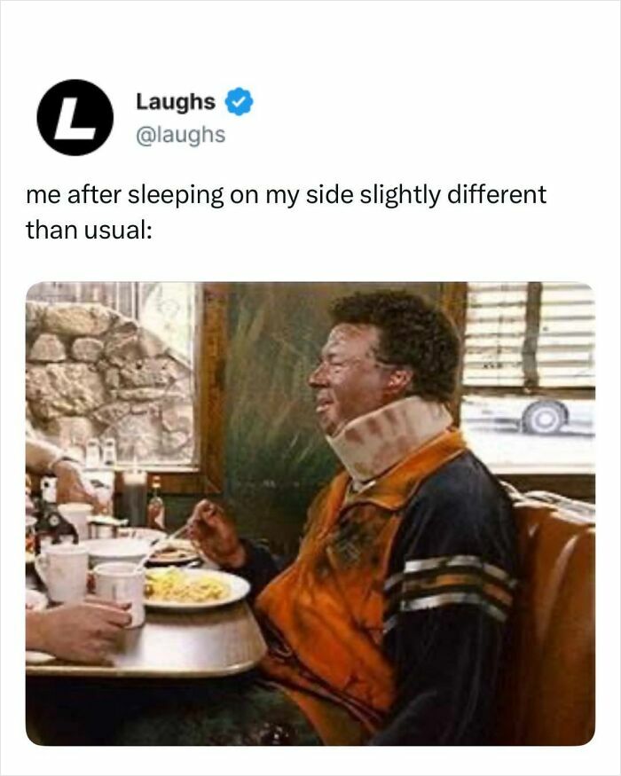 Let’s Dive Into These Hilarious Memes That’ll Totally Make Your Day