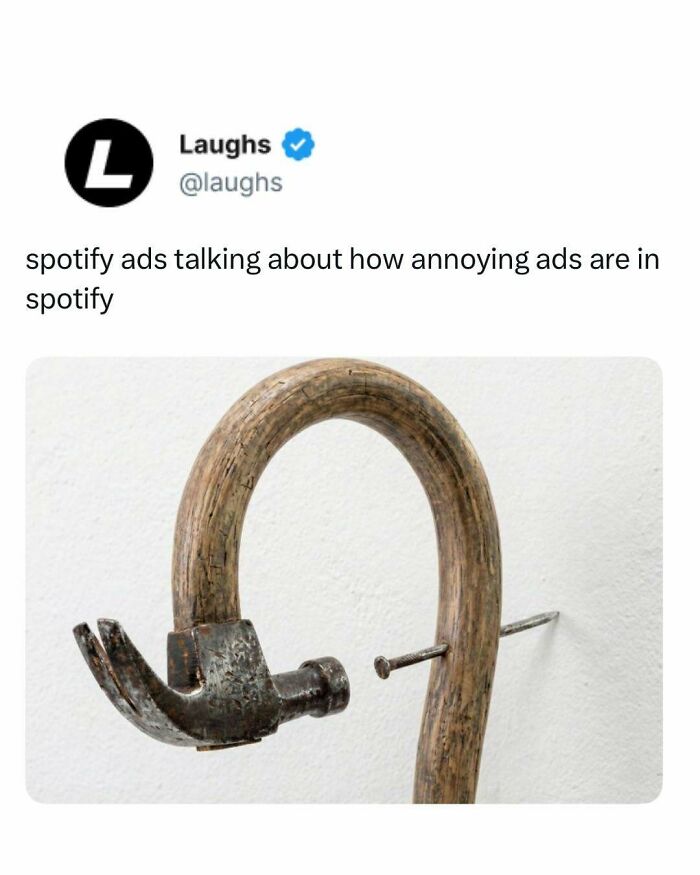 Let’s Dive Into These Hilarious Memes That’ll Totally Make Your Day