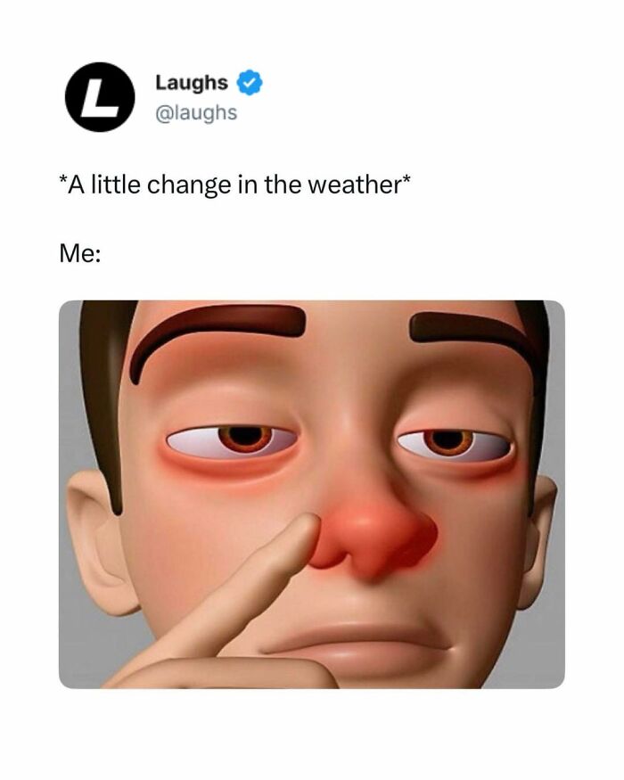 Let’s Dive Into These Hilarious Memes That’ll Totally Make Your Day