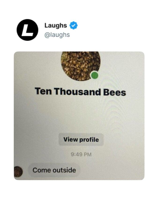 Let’s Dive Into These Hilarious Memes That’ll Totally Make Your Day