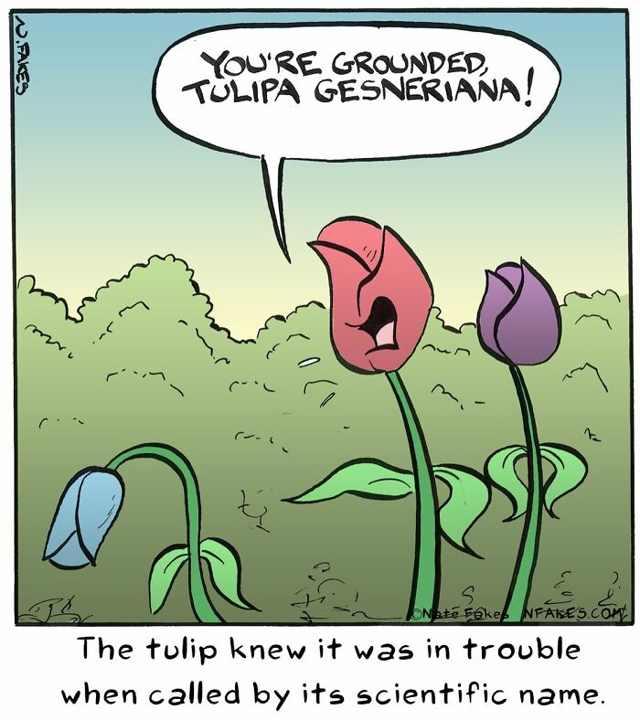 Let's Dive Into Nate Fakes' Funniest Single-Panel Comics!