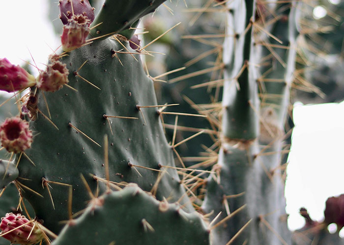 These Survival Myths Are Totally Busted—Here’s What Actually Works