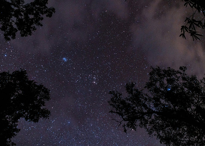 These Survival Myths Are Totally Busted—Here’s What Actually Works